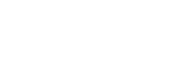 Sara Blogger